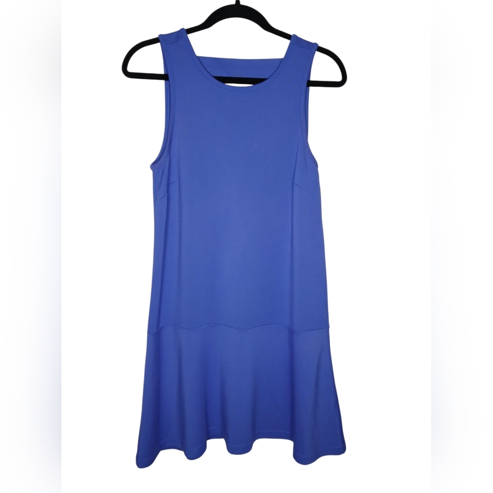 Jack by BB Dakota Blue dress